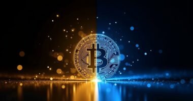 bitcoin vs gold debate