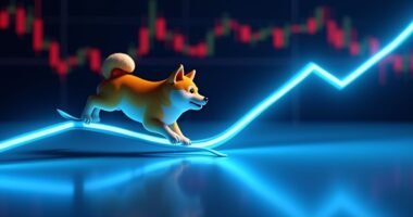 dogecoin s sudden market decline
