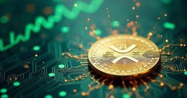 exorapad presale drives growth