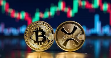 xrp might outpace bitcoin